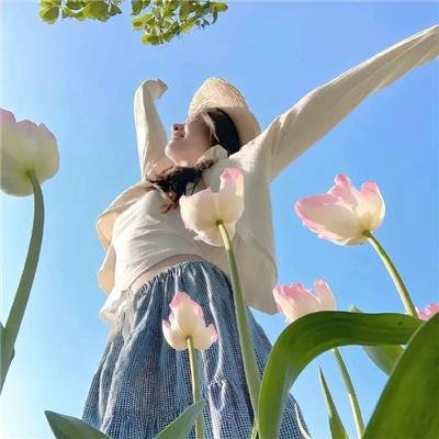 我叫赵甲第之锋芒