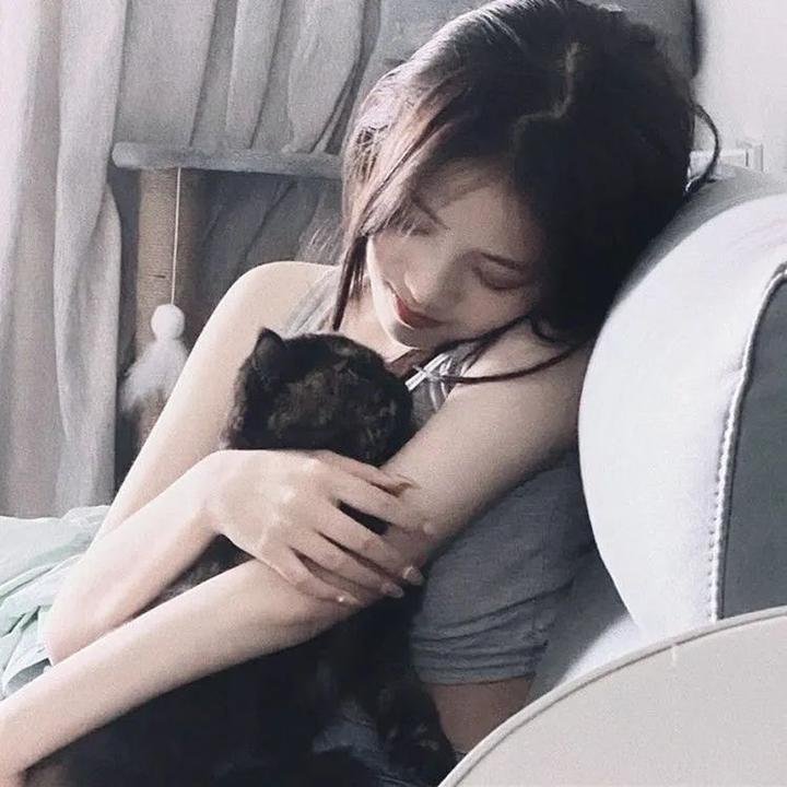 神奇宝贝 幻影神奇宝贝的主谋者